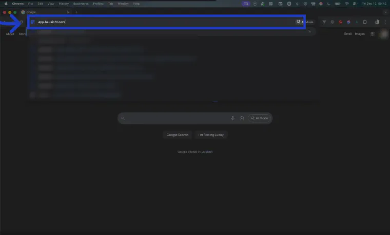 Enter the Bausicht URL